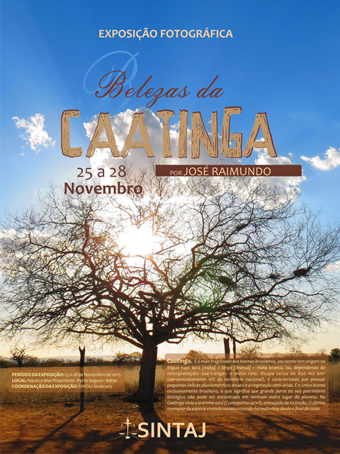 banner exposição fotográfica
